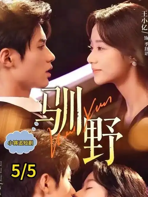 久久亚洲精品视频年代群像剧第七码头